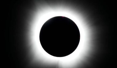 All eyes are on the skies as August stargazing includes meteor showers and eclipses
