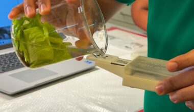 UT Dallas researchers unveil food safety sensor