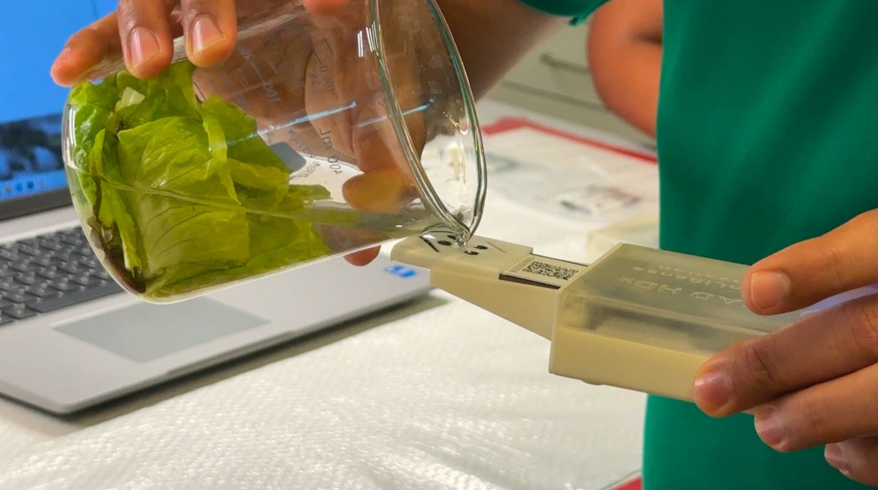 UT Dallas researchers unveil food safety sensor
