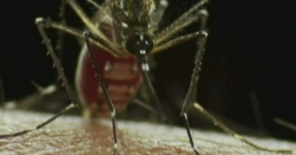 West Nile in Texas: Travis County see first human case of 2026