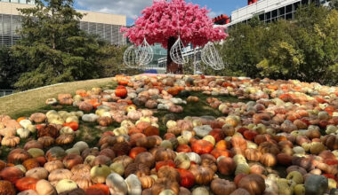 The ultimate autumn wonderland is taking over Houston this September: giant pumpkin houses, Cinderella's carriage, and family rides