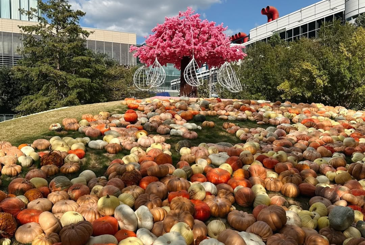 The ultimate autumn wonderland is taking over Houston this September: giant pumpkin houses, Cinderella's carriage, and family rides
