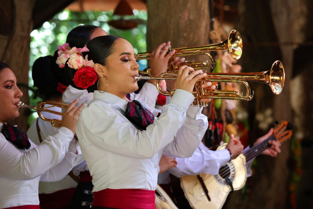 Image shows musicians performing mariachi music.