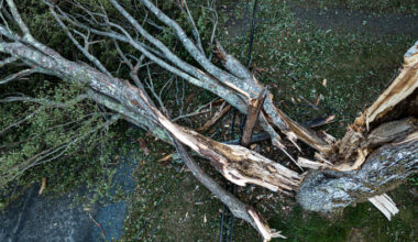 San Antonio confirms storm-related drowning as power restoration continues