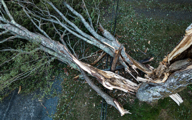 San Antonio confirms storm-related drowning as power restoration continues