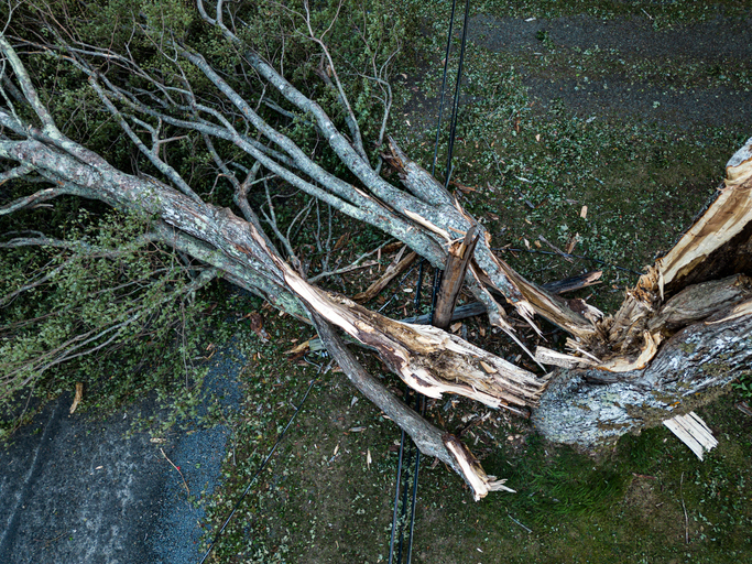 San Antonio confirms storm-related drowning as power restoration continues