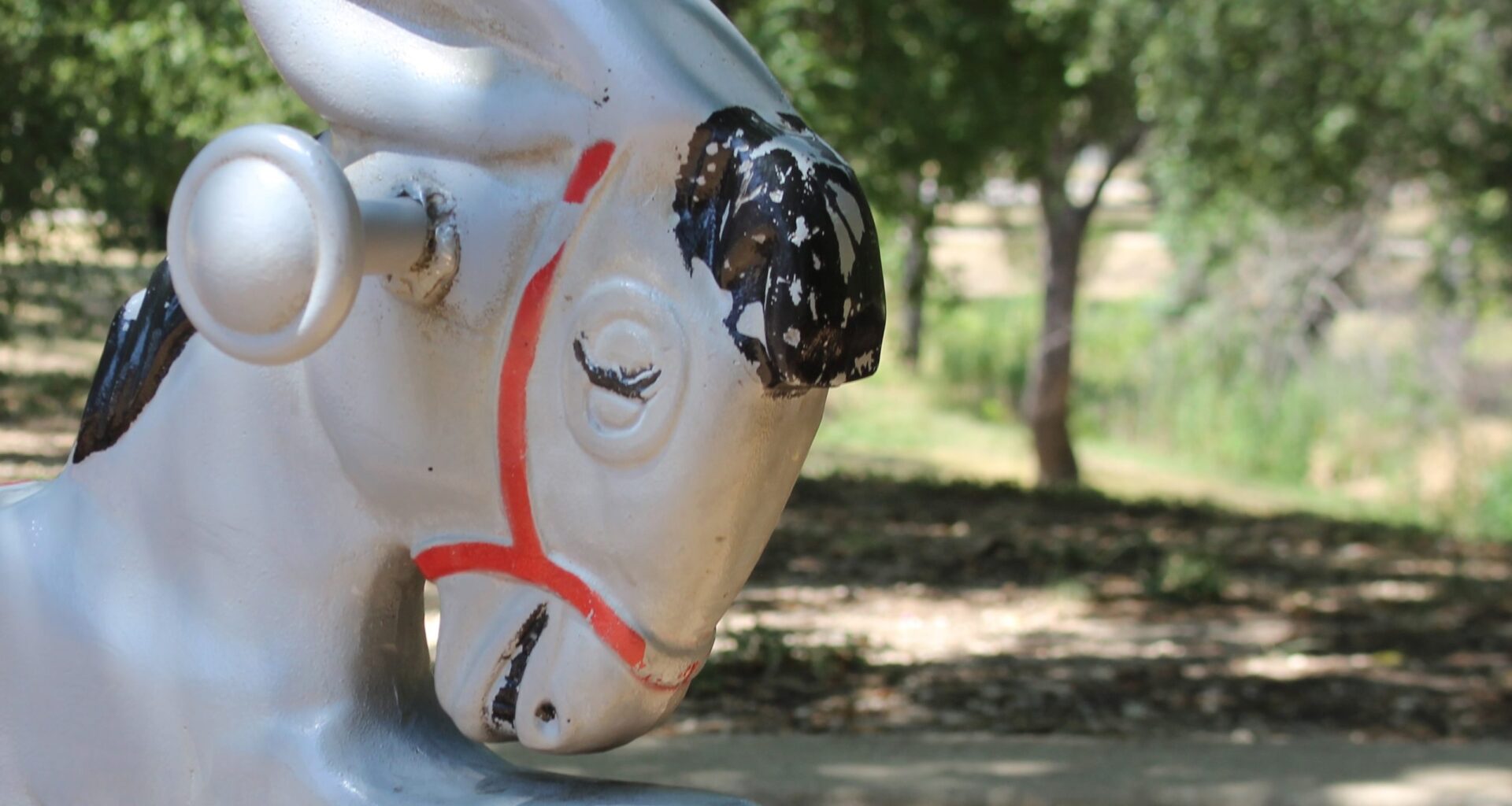 Fort Worth’s effort to obtain funding for parks ranger program on hold