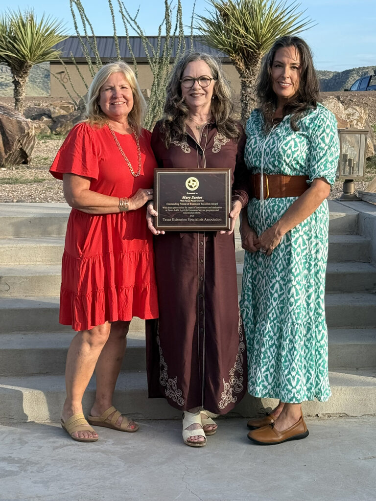 three women stand together, one in red, another in brown and a third in a green dress. The middle one holds a plaque