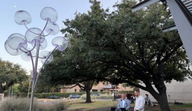 Forest Green Branch Library unveils ‘Fruits of Knowledge’ sculpture