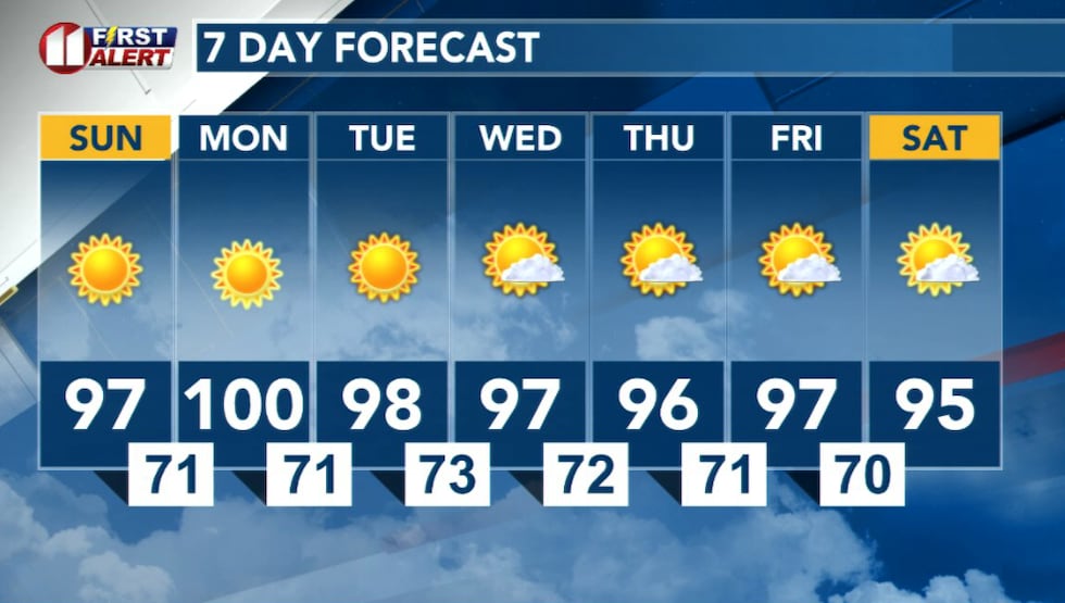 7 day forecast