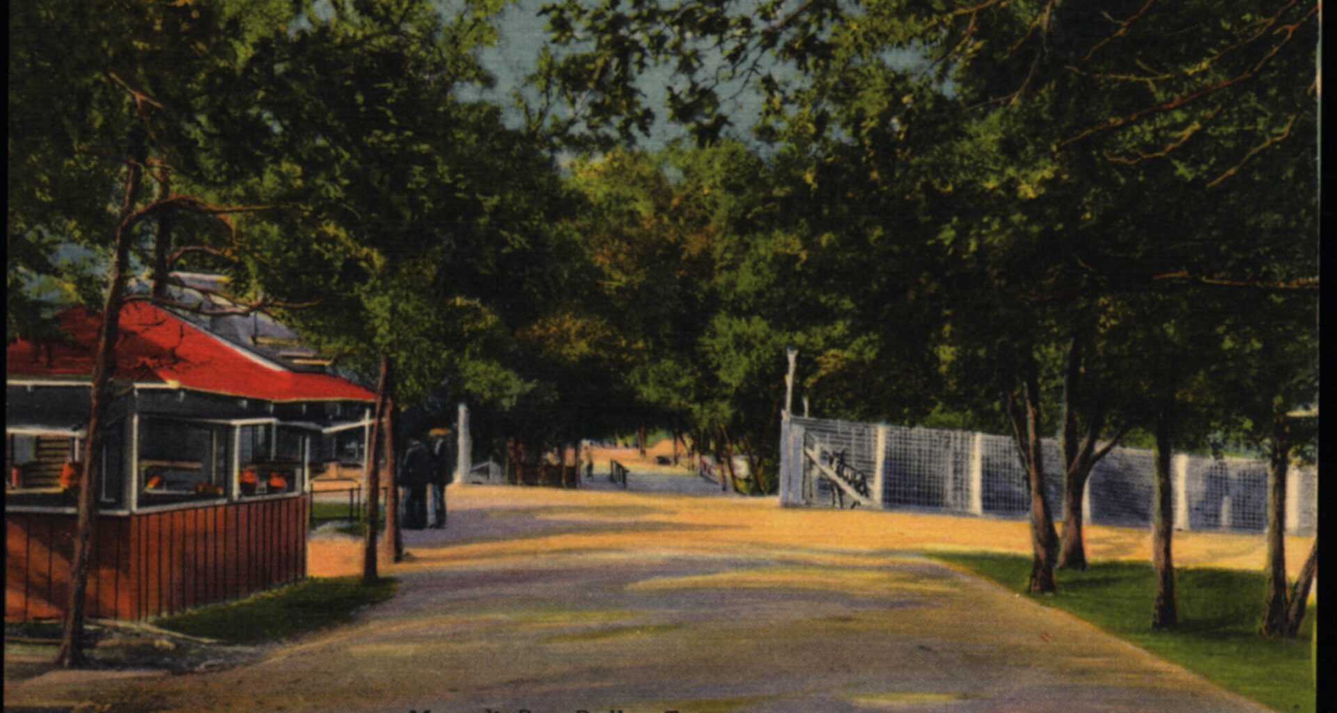 How the Dallas Zoo came to Oak Cliff