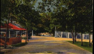 How the Dallas Zoo came to Oak Cliff
