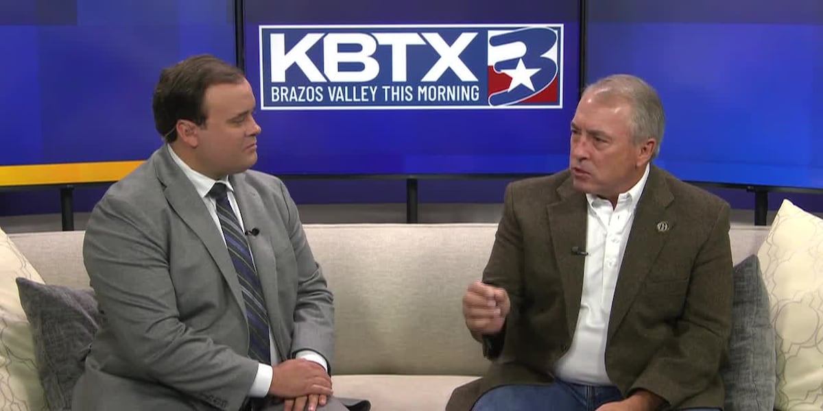 City of Bryan says to manage expectations about the Texas Avenue medians measure now on the November ballot