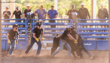2nd annual Guns & Hoses City Slickers Rodeo raises over $40,000 for local charities
