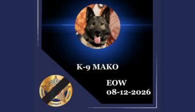 El Paso County Sheriff’s Office announces K9 Mako died after diagnosed with ‘rare and aggressive’ form of cancer