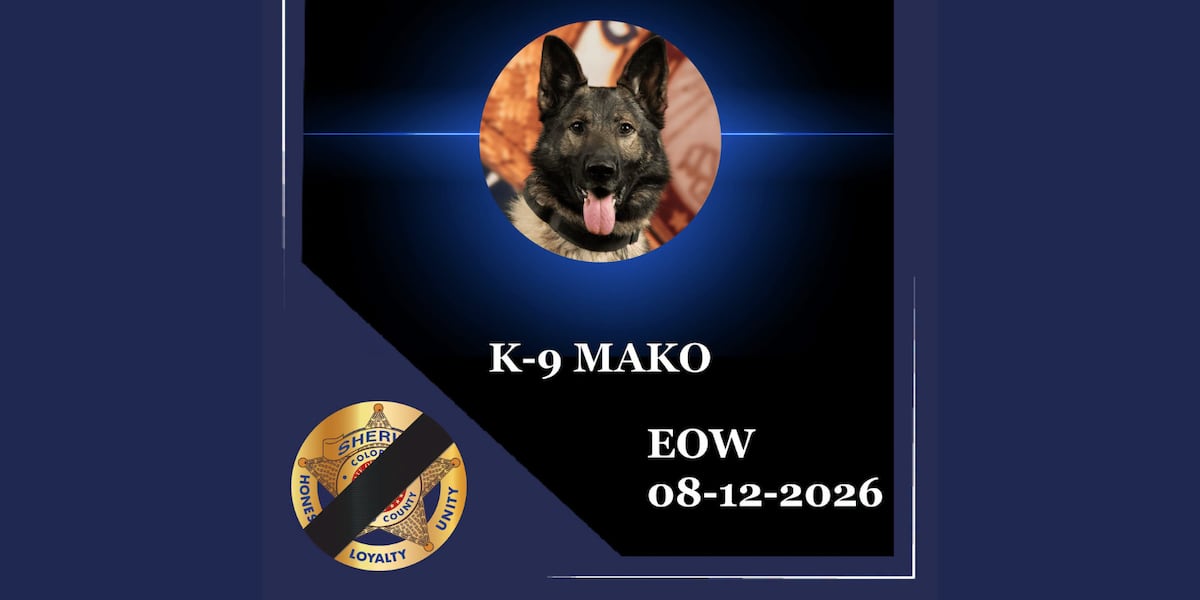 El Paso County Sheriff’s Office announces K9 Mako died after diagnosed with ‘rare and aggressive’ form of cancer