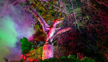 San Antonio Zoo to add more Dinos After Dark dates after large, ‘stressful’ crowds