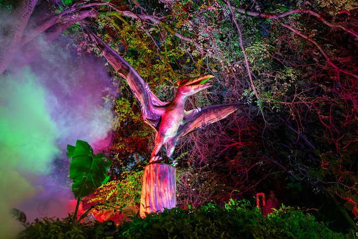 San Antonio Zoo to add more Dinos After Dark dates after large, ‘stressful’ crowds