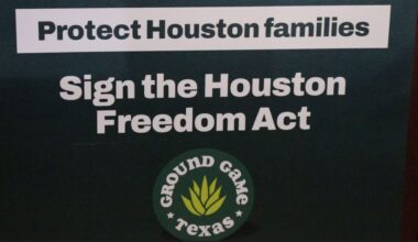 THC legal efforts in Houston