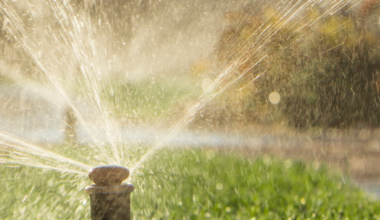 San Antonio To Exit Stage 3 Watering Rules