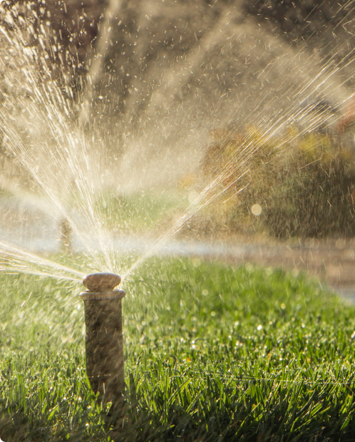 San Antonio To Exit Stage 3 Watering Rules