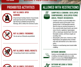 Stage I Restrictions