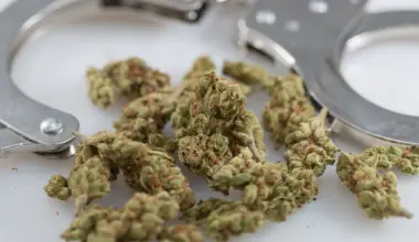 Houston Will Deprioritize Marijuana Arrests If Voters Approve Measure Cleared For November Ballot