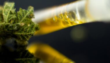 Texas crackdown bans some smokeable hemp products starting today – NBC 5 Dallas-Fort Worth