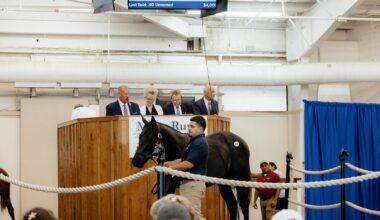 Gunite Colt Tops Texas Yearling Sale At Lone Star Park