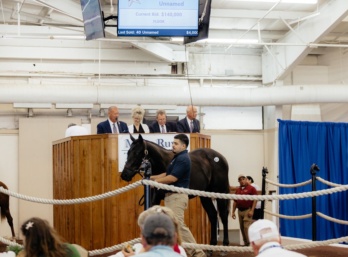 Gunite Colt Tops Texas Yearling Sale At Lone Star Park