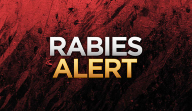 Raccoon tests positive for rabies in Hollywood Park, police say