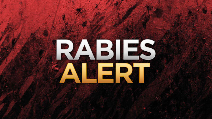 Raccoon tests positive for rabies in Hollywood Park, police say