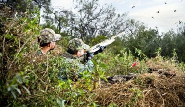 Texas Sets First Statewide September 1 Dove Opener