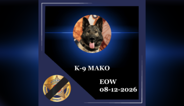 El Paso County Sheriff’s Office announces passing of K9 Mako