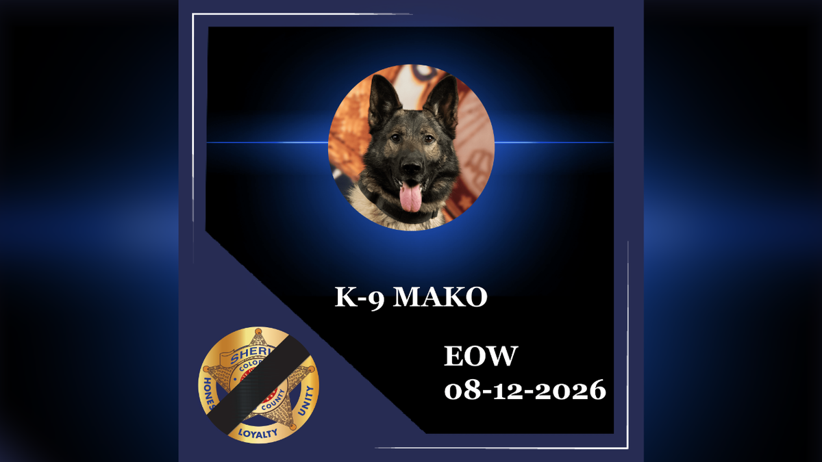 El Paso County Sheriff’s Office announces passing of K9 Mako