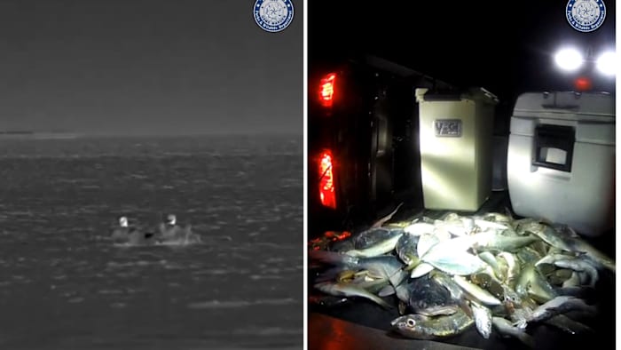 Approximately 160 violations found in Texas City illegal fishing bust; multiple citations issued