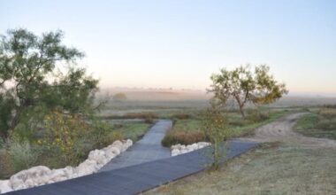 Lubbock Lake Landmark Wildflower Trail Rebuild Underway