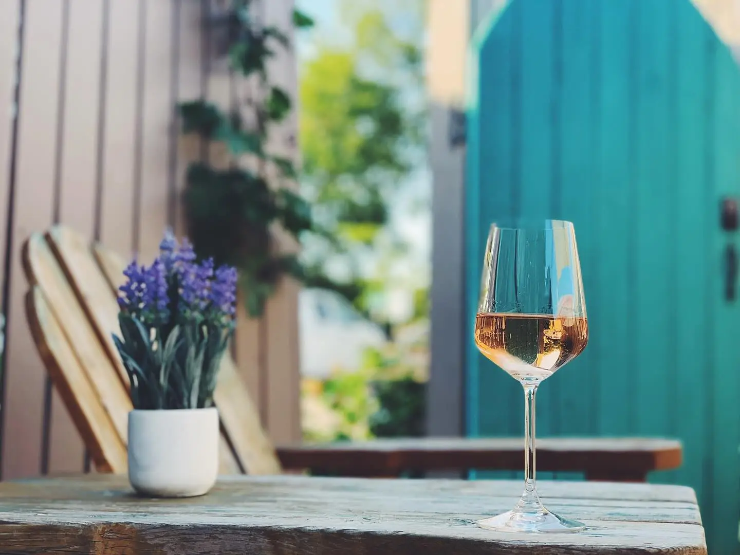 Wine Haus Fort Worth wine bars