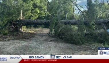 East Texas storm knocks out power, downs trees across Rusk County