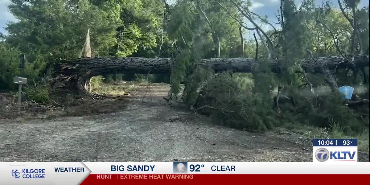 East Texas storm knocks out power, downs trees across Rusk County