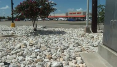 Houston community groups question whether Home Depot worked with ICE during recent detention