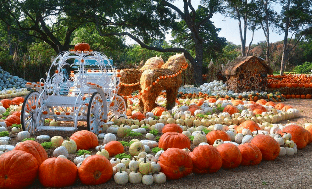 Image shows a sculpture of a horse-drawn carriage amid a pumpkin garden.