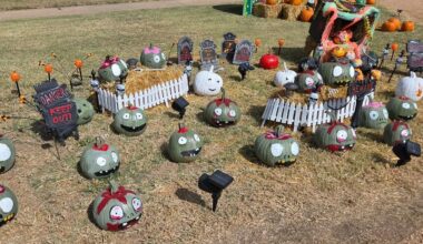 Lubbock Pumpkin Trail Returns October 15 To 18, Seeks Carved Pumpkins
