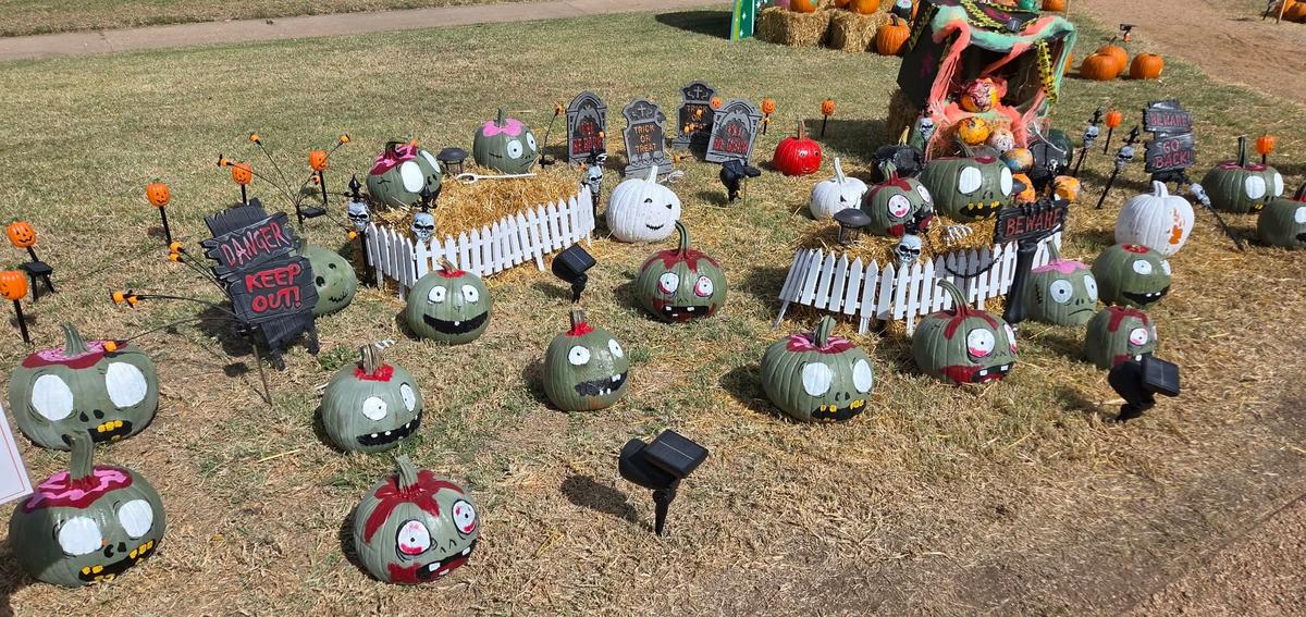 Lubbock Pumpkin Trail Returns October 15 To 18, Seeks Carved Pumpkins