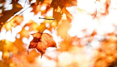 Why October Is Lubbock's Most Comfortable Month