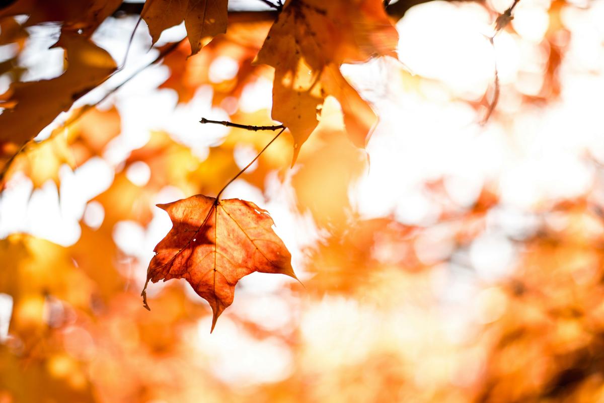 Why October Is Lubbock's Most Comfortable Month