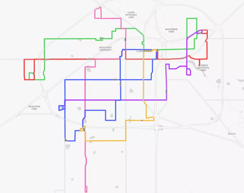 Citibus.com