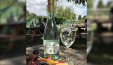 El Paso Area Winery Honors Its Famous Cat With New Wine