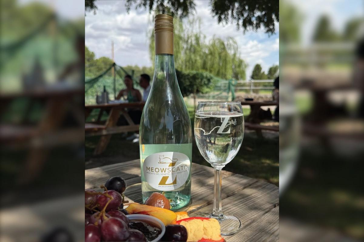 El Paso Area Winery Honors Its Famous Cat With New Wine