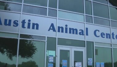 Austin Animal Services goes 10 days without AC; temporary measures in place